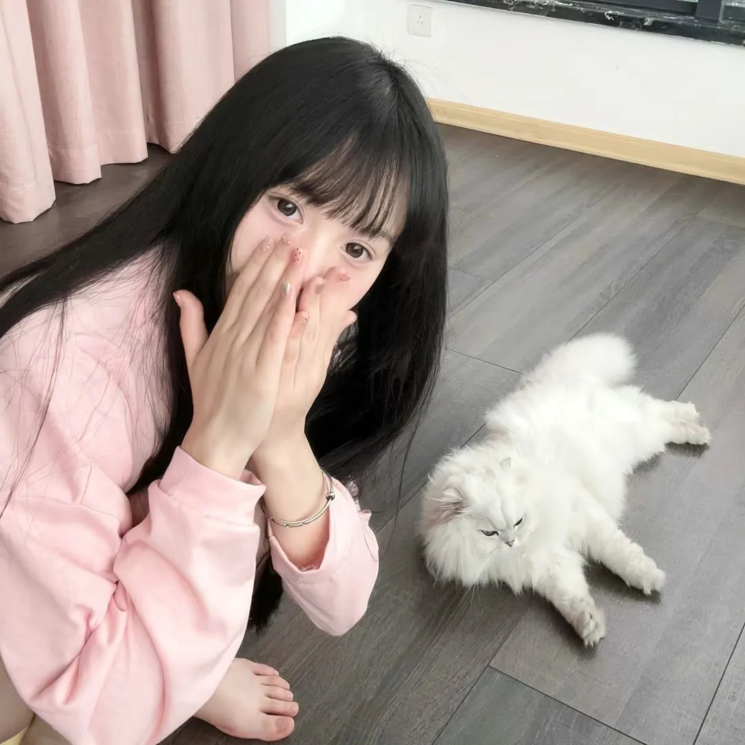 舒莎摇摇 在线观看封面