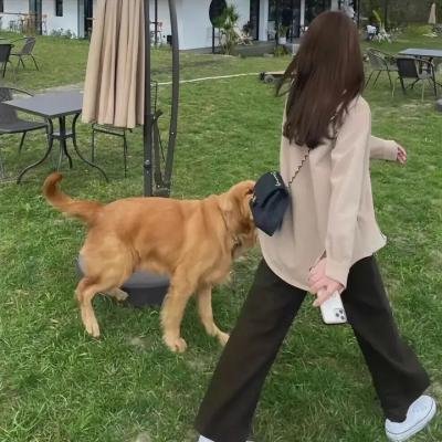 异教徒的标志 在线观看封面